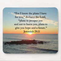 SERENE JEREMIAH 29:11 SCELER