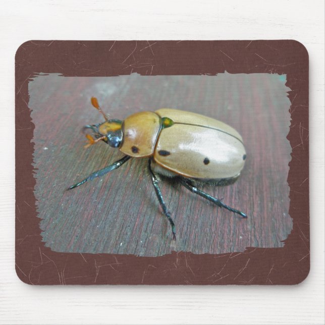 Tapis De Souris Série du dendroctone du pin (Pelidnota punctata) (Devant)