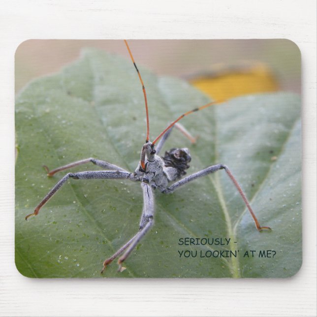 Tapis De Souris Sérieusement vous me regardant ? (Devant)