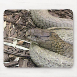 Tapis De Souris Serpent