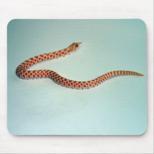 Tapis De Souris Serpent de Hognose albinos de bébé Mousepad