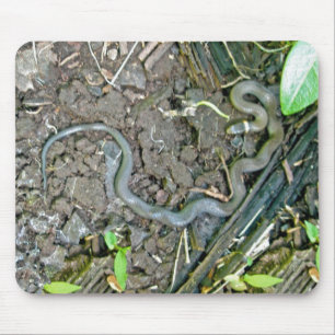 Tapis De Souris Serpent de Ringneck Mousepad