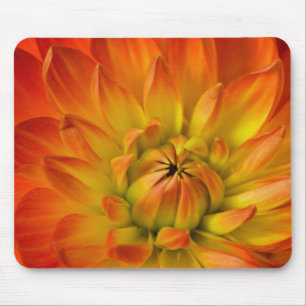 Tapis De Souris Serré dans les photographies de fleur de Dalhia av
