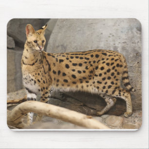 Tapis De Souris Serval africain élégant et fonctionnel