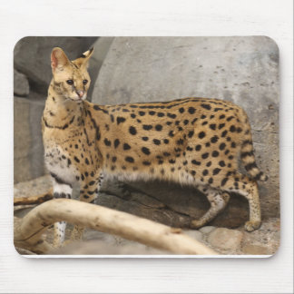 Tapis De Souris Serval africain élégant et fonctionnel