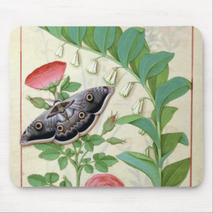 Tapis De Souris S'est levé et le Polygonatum