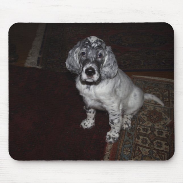Tapis De Souris Setter anglais (Devant)