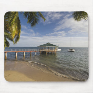 Tapis De Souris Seychelles, île de Praslin, Anse Bois de Rose,