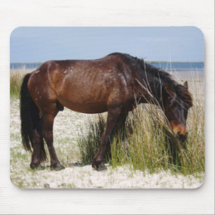 Tapis De Souris Shackleford Banks Mondialement Cheval