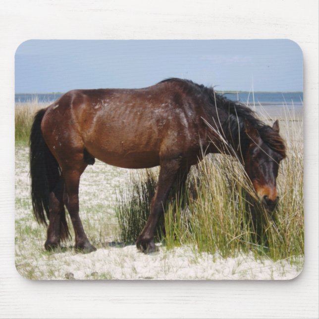 Tapis De Souris Shackleford Banks Mondialement Cheval (Devant)