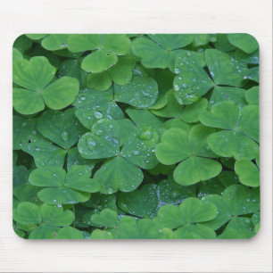 TAPIS DE SOURIS SHAMROCKS