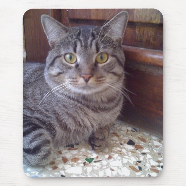 Tapis De Souris Shangel (Devant)