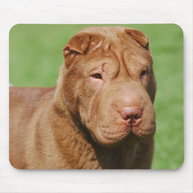 Tapis De Souris Shar Pei (Devant)