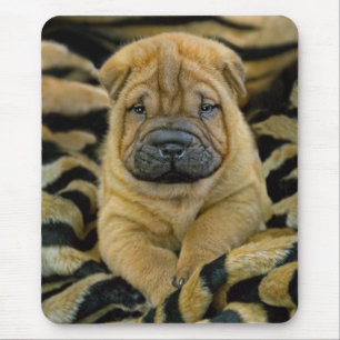 Tapis De Souris Shar-Pei chiot âgé Mousepad de 4 semaines