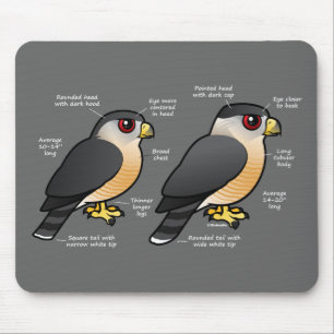 Tapis De Souris Sharpie de la cage v