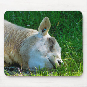 TAPIS DE SOURIS SHEEP