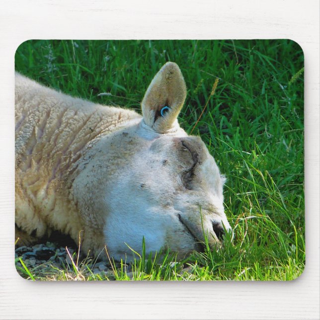 TAPIS DE SOURIS SHEEP (Devant)