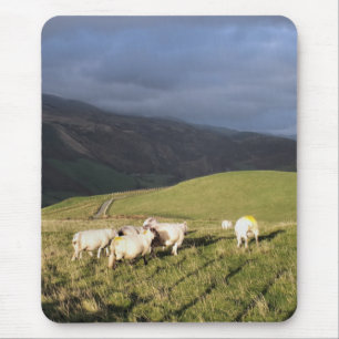 TAPIS DE SOURIS SHEEP DE MONTAGNE
