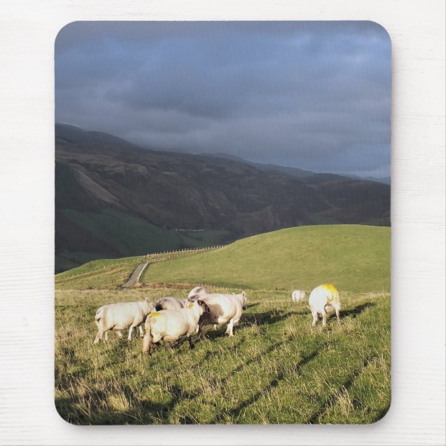 TAPIS DE SOURIS SHEEP DE MONTAGNE (Devant)