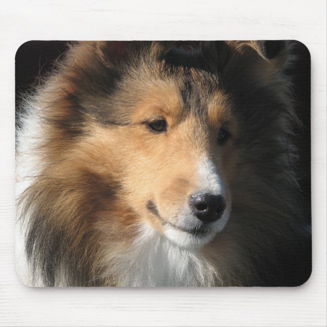 Tapis De Souris Sheltie font face (Devant)