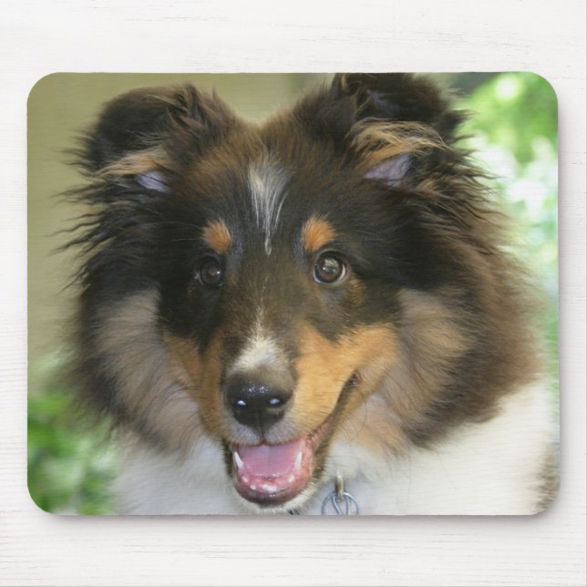 Tapis De Souris Sheltie Mousepad (Devant)