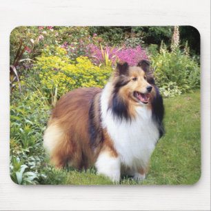 Tapis De Souris Sheltie Mousepad
