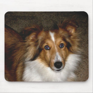Tapis De Souris ~ Sheltie Mousepad de chien de berger de Shetland