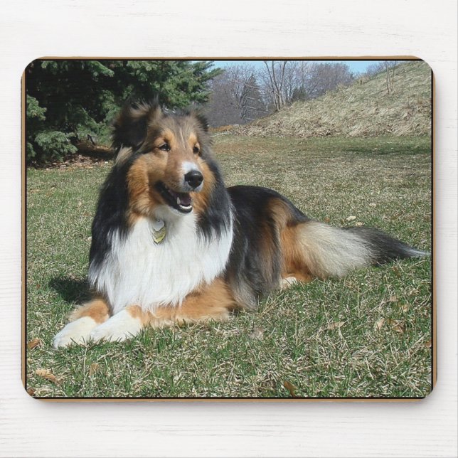 Tapis De Souris sheltie_mpad4 (Devant)