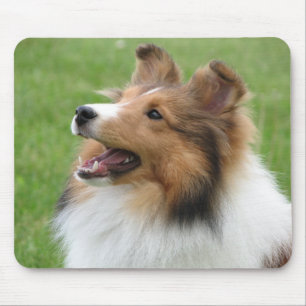 Tapis De Souris Sheltie sur le mousepad