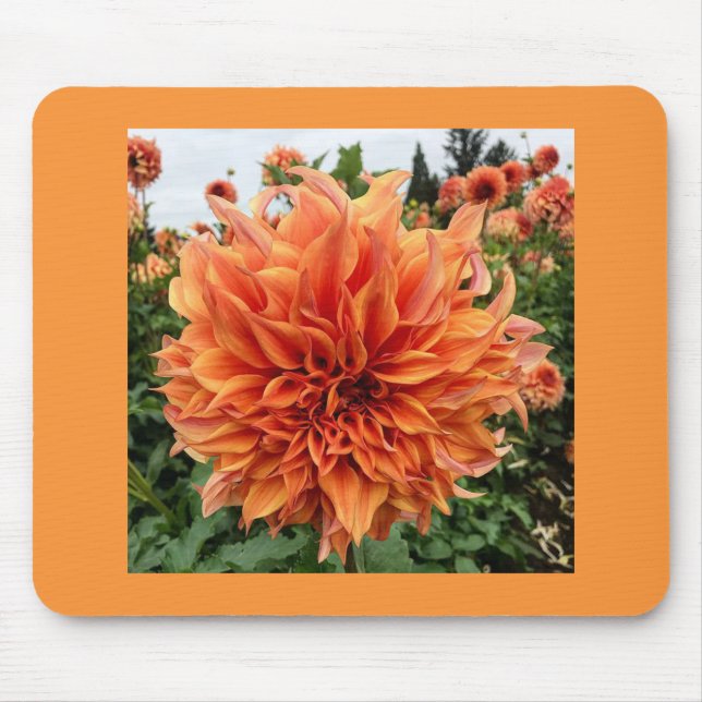 Tapis De Souris Sherwood's Peach Dahlia (Devant)