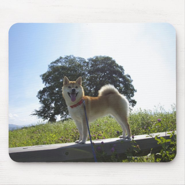 Tapis De Souris Shiba Inu (Devant)