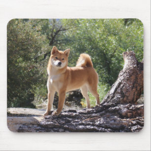 Tapis De Souris Shiba Inu