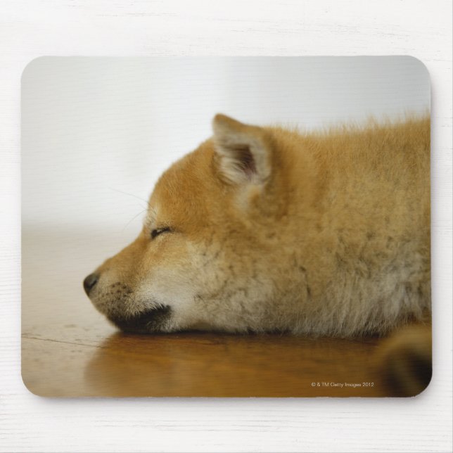 Tapis De Souris Shiba-ken 3 dormant (Devant)