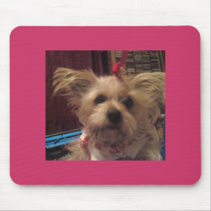 Tapis De Souris Shih Tzu