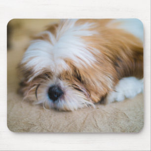 Tapis De Souris Shih Tzu