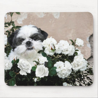 Tapis De Souris Shih Tzu et roses