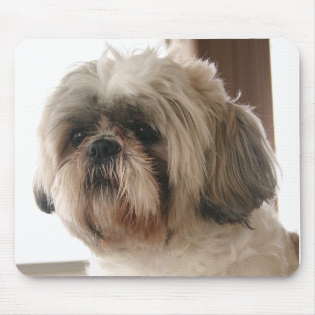 Tapis De Souris Shih Tzu Mousepad (Devant)