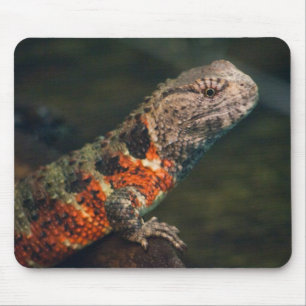 Tapis De Souris Shinisaurus crocodilurus