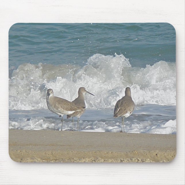 Tapis De Souris Shore Bird Trio Mousepad (Devant)