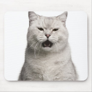Tapis De Souris Shorthair britannique (4 années)