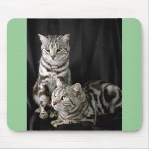 Tapis De Souris Shorthair britannique, chat tigré argenté