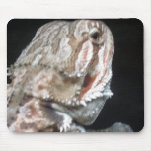 Tapis De Souris Shy Dragon