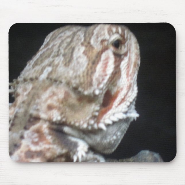 Tapis De Souris Shy Dragon (Devant)
