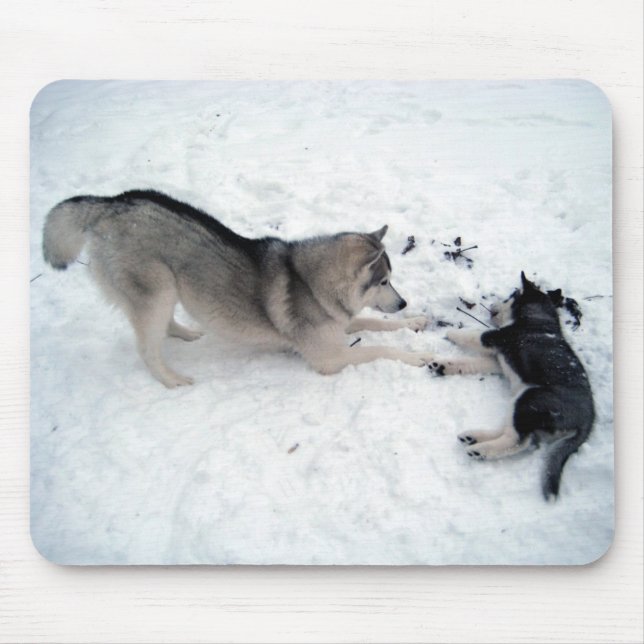 Tapis De Souris Siberian Huskies (Devant)