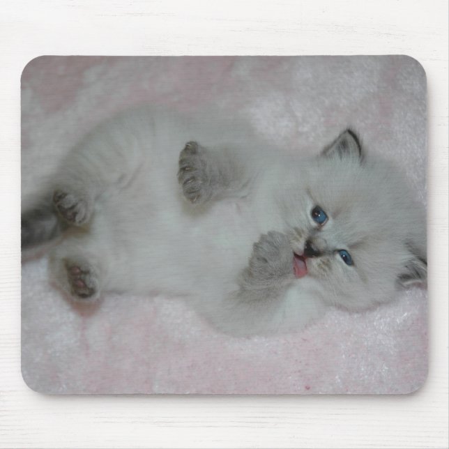 Tapis De Souris SibKitten le plus mignon Mousepad - customisé (Devant)