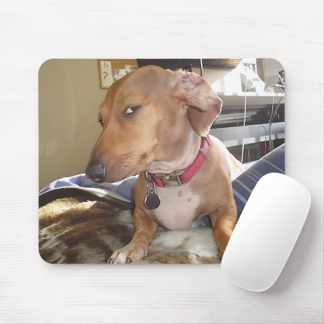 Tapis De Souris Side Eye Dog Mème Souris Pad (Avec souris)