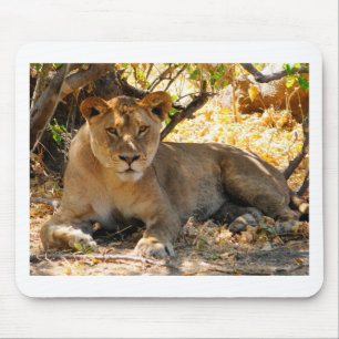 Tapis De Souris Siesta Time