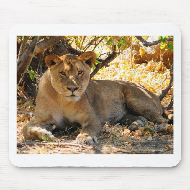 Tapis De Souris Siesta Time (Devant)