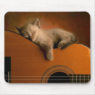 Tapis De Souris Sieste du chaton sur guitare