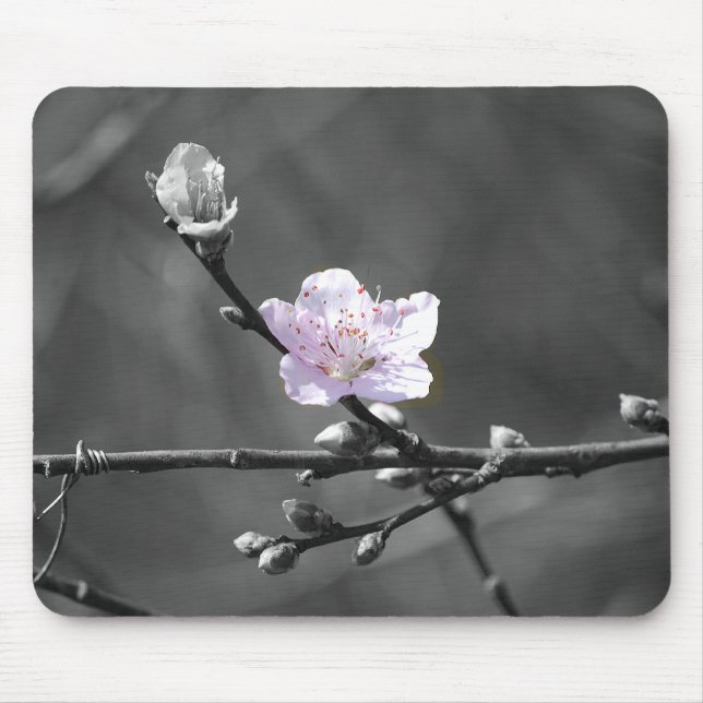 Tapis De Souris Signe des fleurs de cerisier roses (Devant)